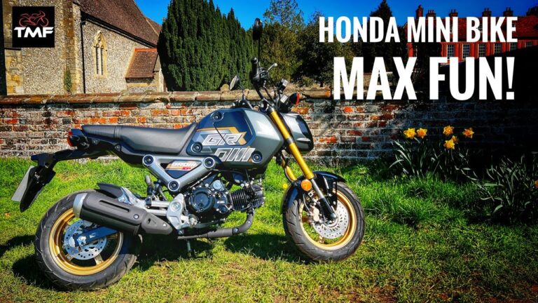 Honda MSX 125: Preço e Oportunidades de Compra