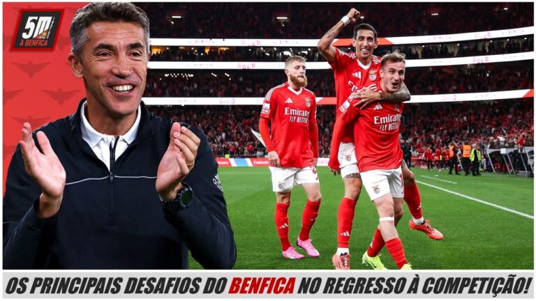 Estilo e Conforto: O Blusao Benfica em Alta