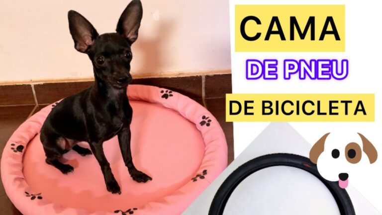 Eiras Pneus: Soluções Eficientes para Seu Veículo