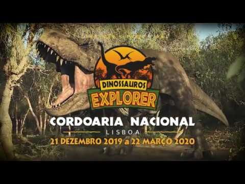 Agenda da Cordoaria Nacional: O Que Esperar