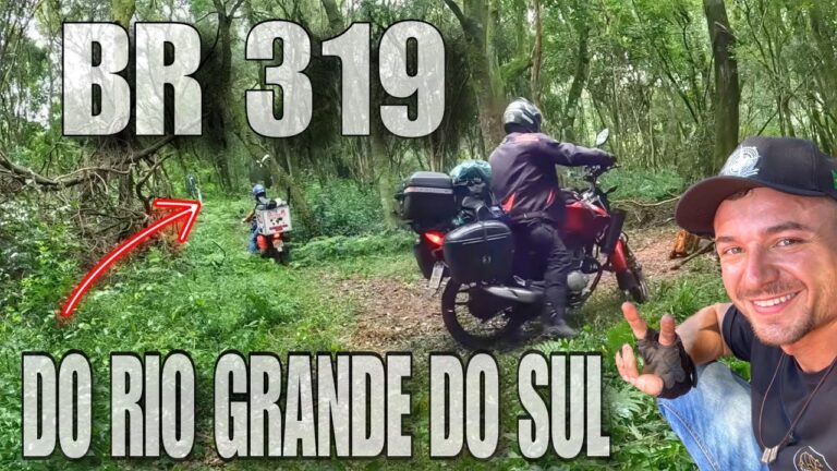Evaristo Alves Dias: O Legado de Um Vision&aacute;rio Brasileiro