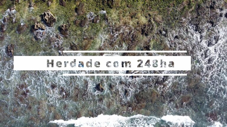 Segurança Máxima em Cacém: Estratégias e Soluções Eficazes