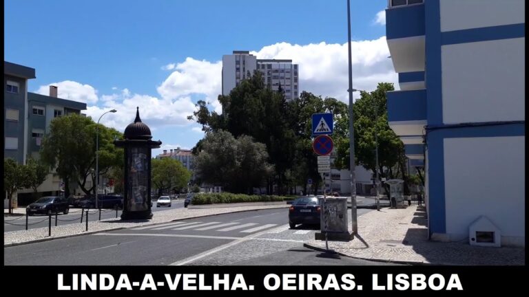 Melhores Dicas para Escolher a Escola de Condução em Carnaxide
