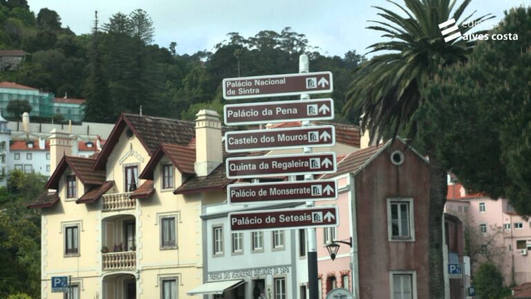 Importância dos Sinais Rodoviários na Segurança Viária