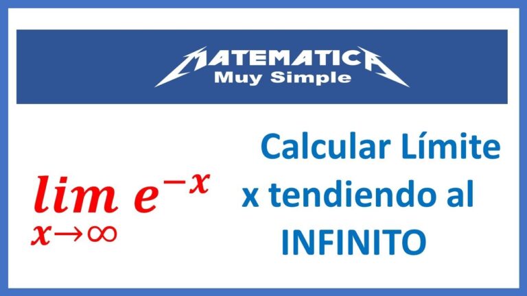O Comportamento de e Elevado a Menos Infinito