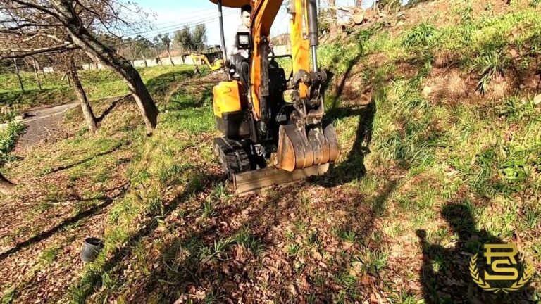 Rocha e Soares Lda: Inovação e Tradição no Mercado Empresarial